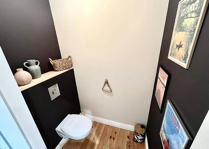 La Galupe Mont-de-Marsan